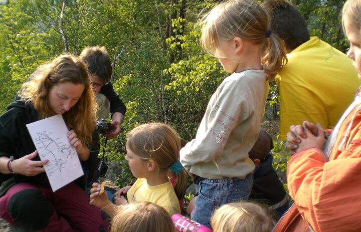 Kinder bekommen ein Fledermausschaubild erklärt - Link: Uni im Grünen