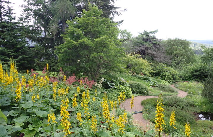 Weg durch den Botanischen Garten Schellerhau,
Foto: Botanischer Garten Schellerhau