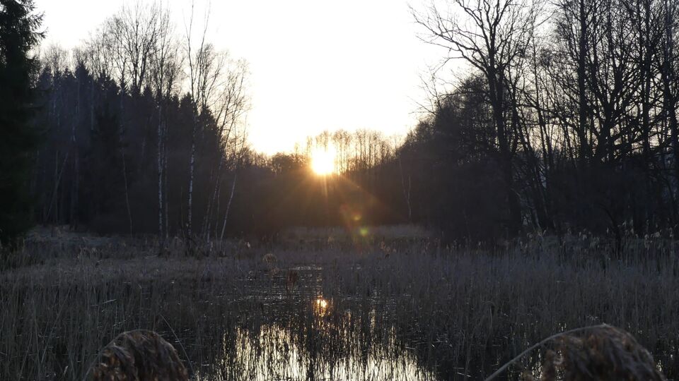 Die untergehende Sonne scheint über den Wendlerlteich.