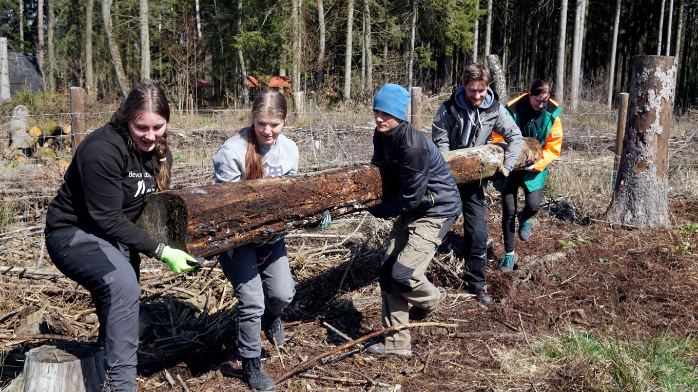Fünf junge Menschen im Wald tragen einen Baumstamm