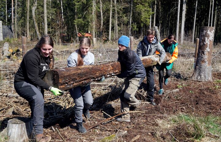 Fünf junge Menschen im Wald tragen einen Baumstamm - Link: Freiwilliges Engagement im Natur- und Umweltschutz für ein Jahr gewünscht?