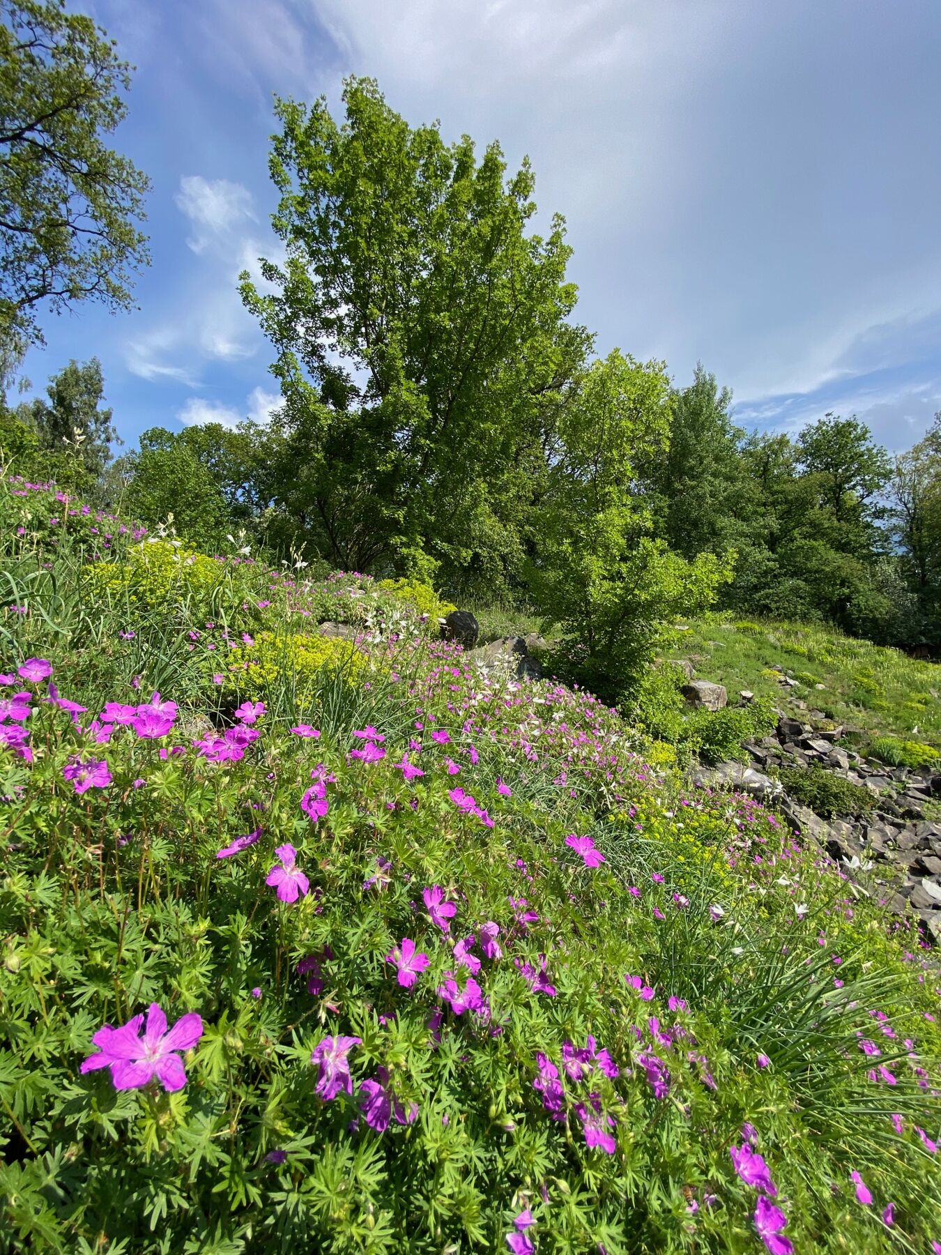 Botanischer Garten Chemnitz