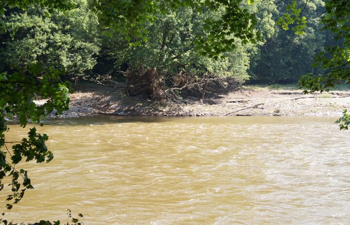 Zwickauer Mulde nach Hochwasser 2013 noch braun von ausgespülten Sedimenten - Link: Regenwassernutzungs- und Klimakonzept für den Schlosspark Wechselburg