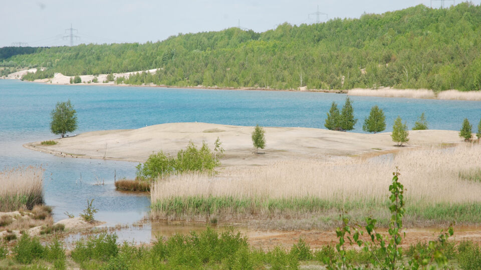 Blick auf den See mit Ufervegetation