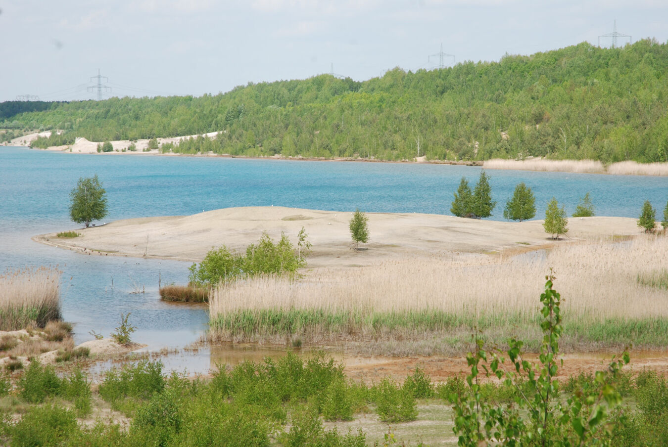 Bockwitzer See 1