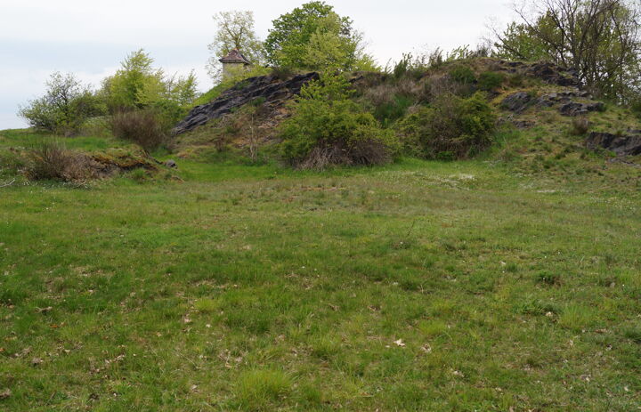 Felsstandort und Trockenrasen auf der LaNU-Fläche Dehnitz Wachtelberg-Mühlbachtal