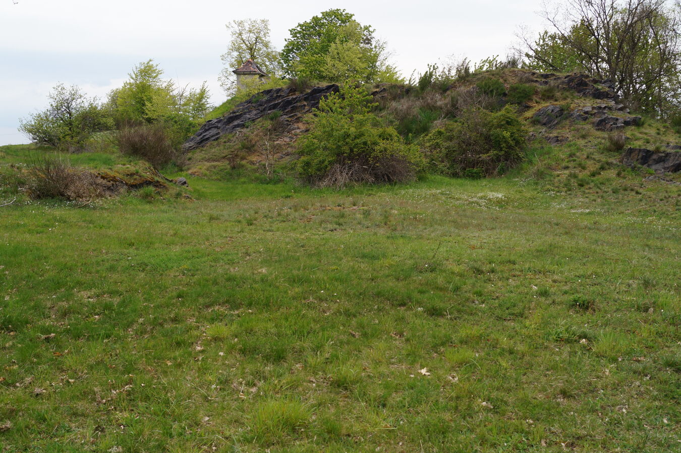 Felsstandort und Trockenrasen Dehnitz