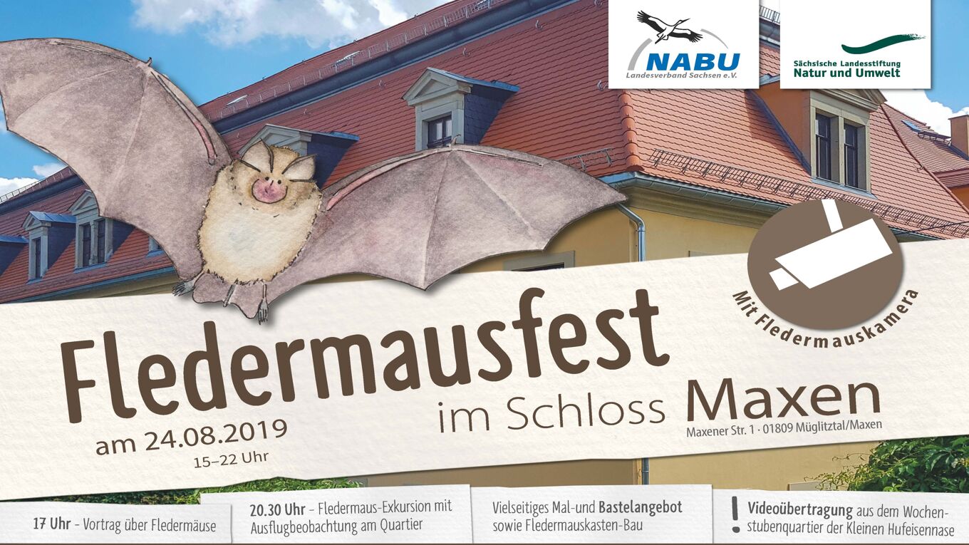 Ankündigungsplakat von NABU und LaNU zum Fledemausfest im Schloss Maxen. Eine gemalte Fledermaus, im Hintergrund ein Gebäude.