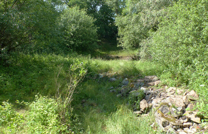 Gewässer am Wachtelberg, stark verbuscht