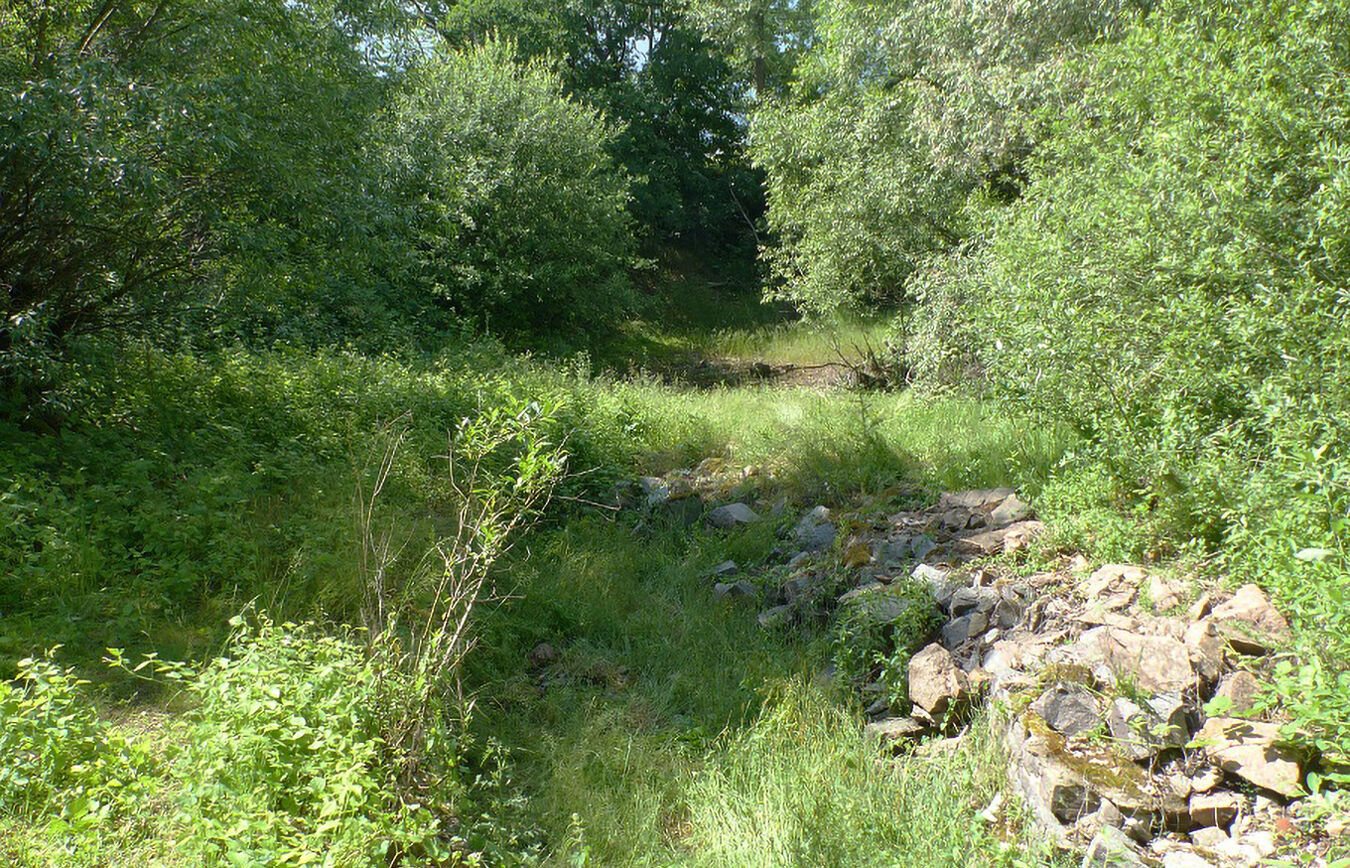 Verbischte Landschaft am Wachtelberg
