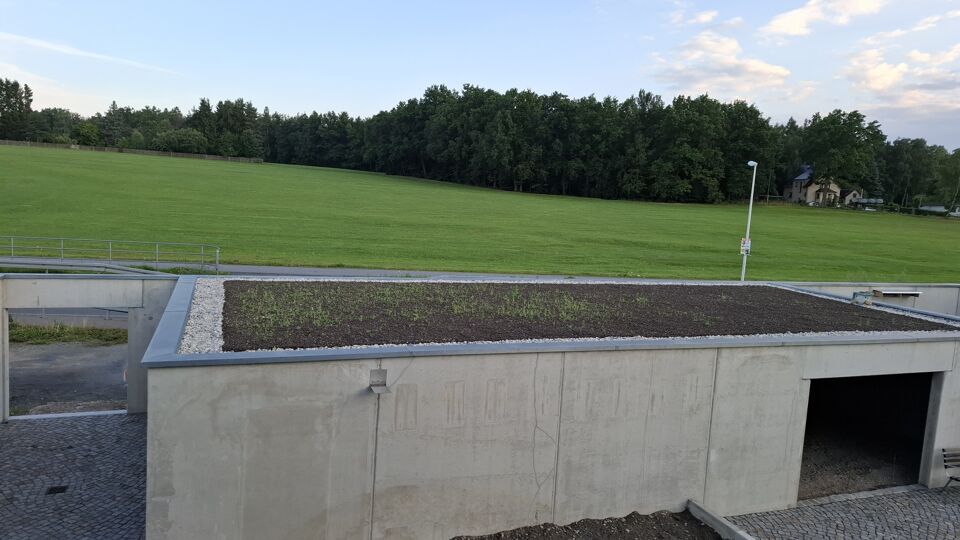 Garagendach für Insekten begrünt