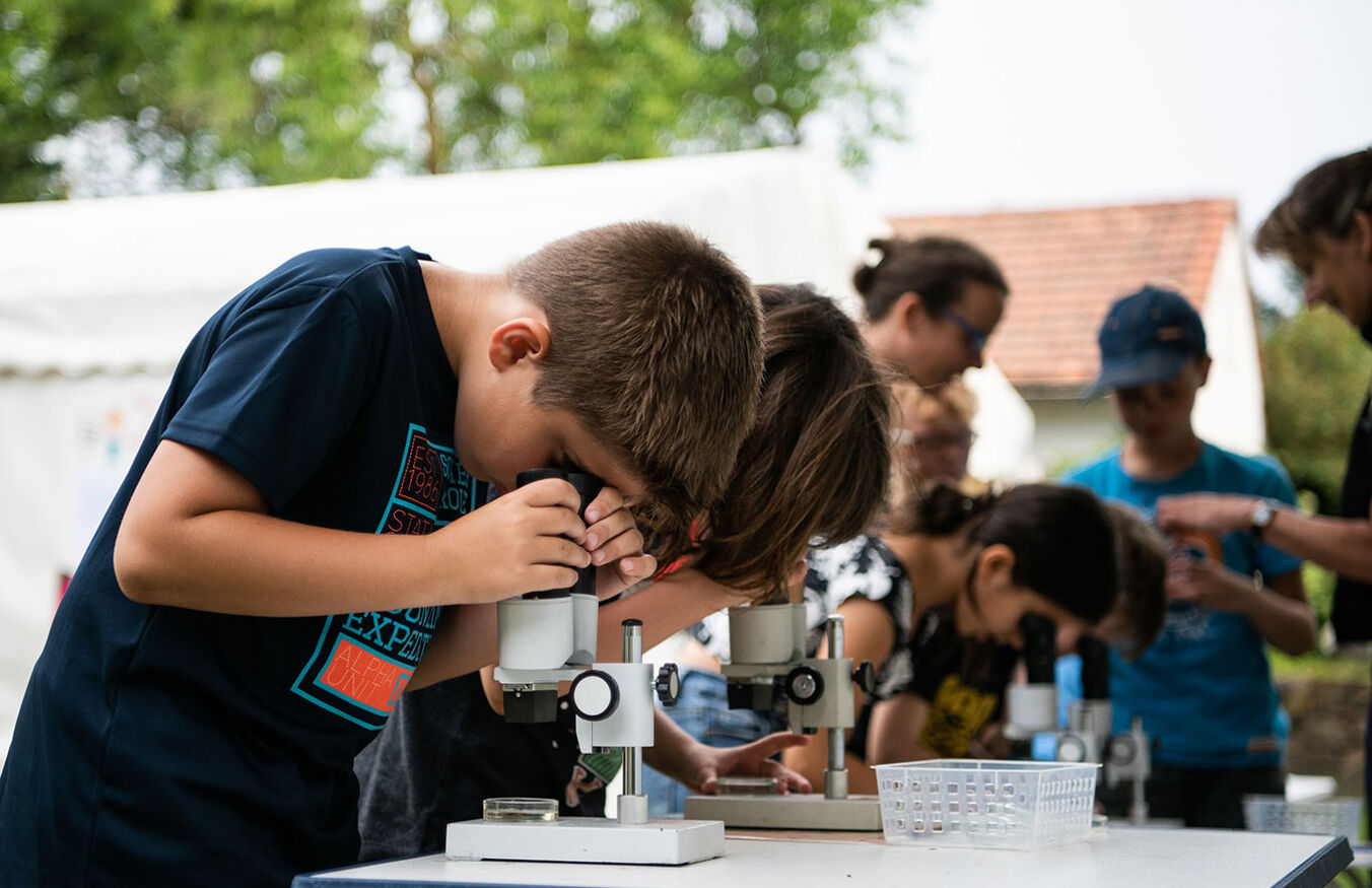 Ein Junge blickt konzentriert durch ein Mikroskop, das auf einem Tisch steht. Dahinter steht eine Reihe von Kindern, die auch durch ein Mikroskop schauen oder von einer Frau etwas gezeigt bekommen.