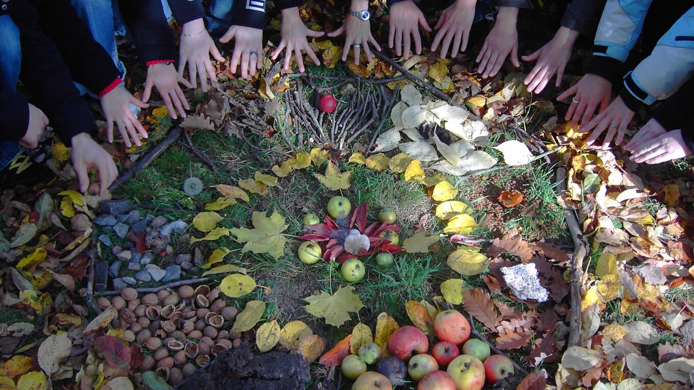 Ein Mandala aus Naturmaterial.