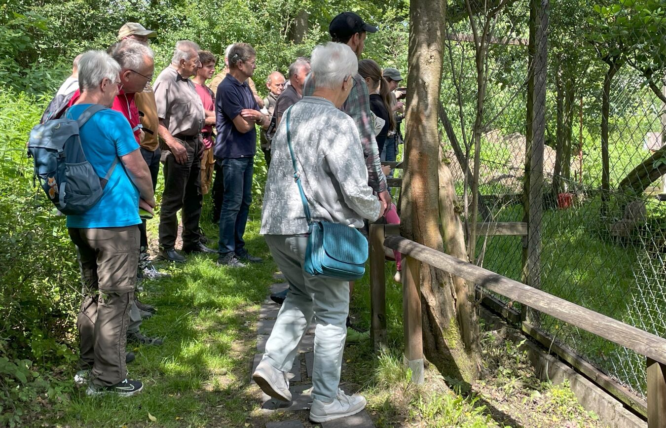 Am Wildkatzengehege im Pfaffengut