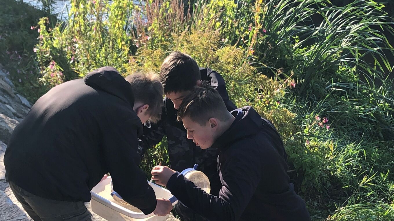 Schüler untersuchen, was für Kleintiere sie aus dem Fluss gefischt haben