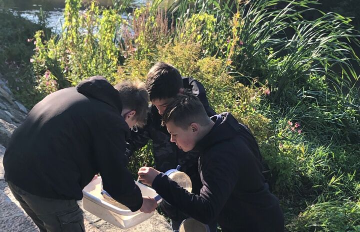 Schüler untersuchen, was für Kleintiere sie aus dem Fluss gefischt haben
