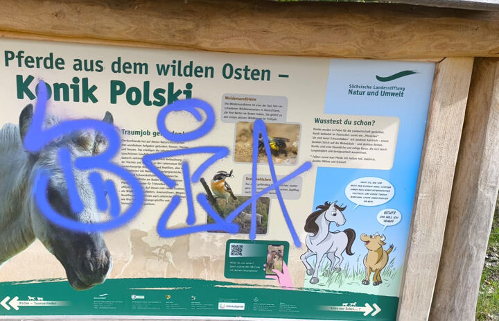 Blick auf eine weitere Informationstafel am Bockwitzer See, die Unbekannte mit Graffiti zerstört haben