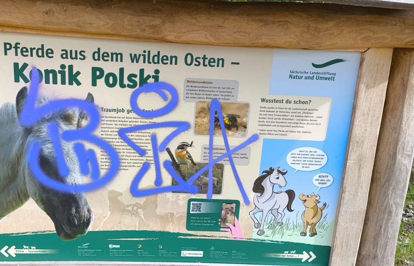 Vandalismus am Bockwitzer See: mit Graffiti beschmierte Tafel (2)