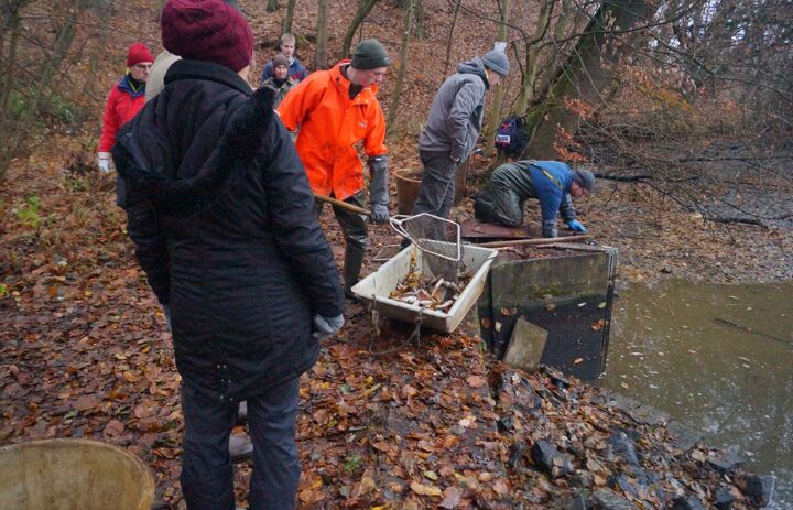 Start Abfischen Burgstädelteich