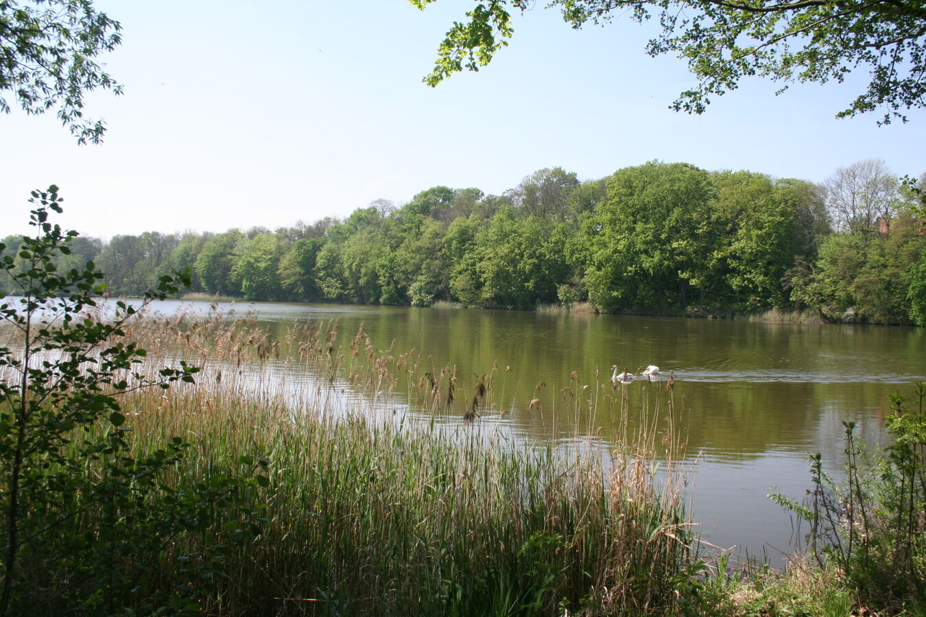 Blick auf die Flussaue