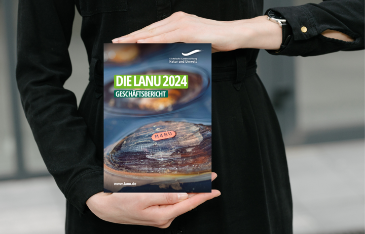 Link: Geschäftsbericht 2024