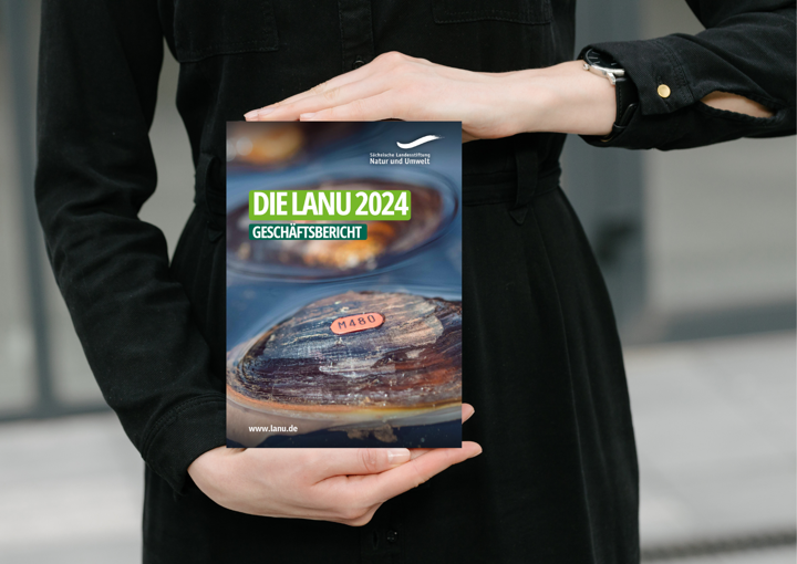 Geschäftsbericht 2024