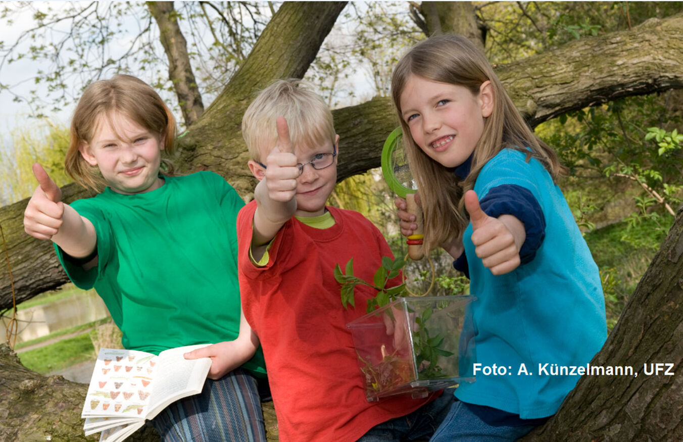 Drei Kinder sitzen auf einem Baum. Sie schauen direkt in die Kamera und strecken einen hochgesreckten Daumen in die Kamera.