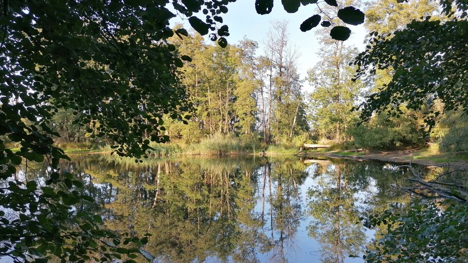 Blick auf Ufer und Wasserfläche.