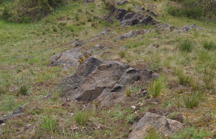 Foto von steinigem Gelände. Dehnitz Wachtelberg