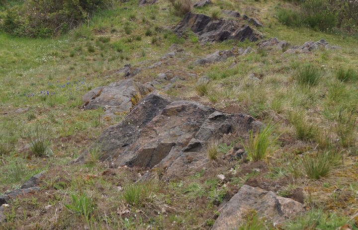 Felsbildung auf der LaNU-Fläche Dehnitz Wachtelberg-Mühlbachtal