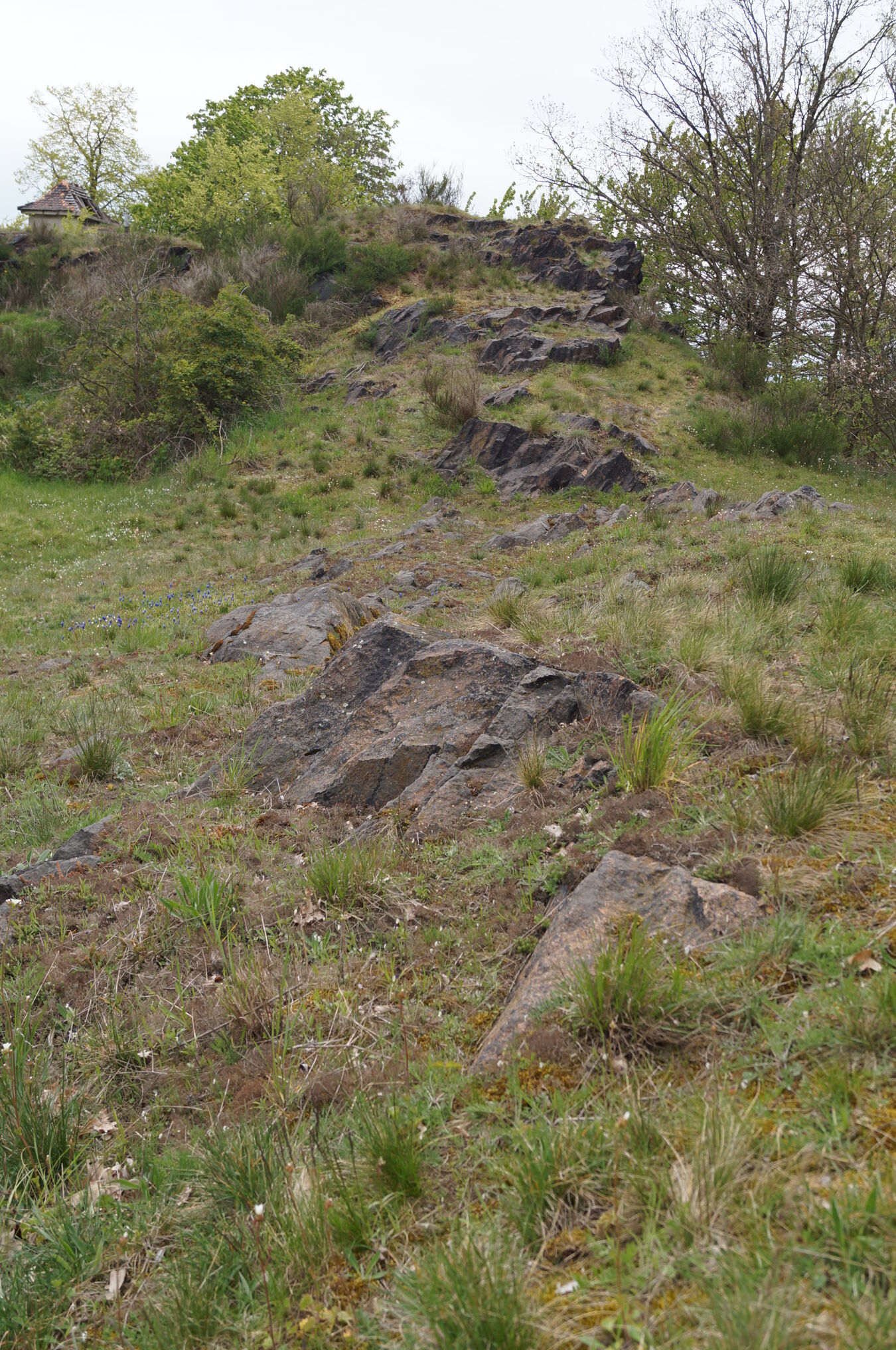 Felsbildung Wurzen-Dehnitz Wachtelberg Mühlbachtal