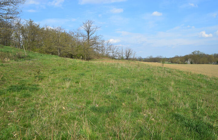 Blick in die Landschaft des Naturschutzgebietes „Wachtelberg-Mühlbachtal“