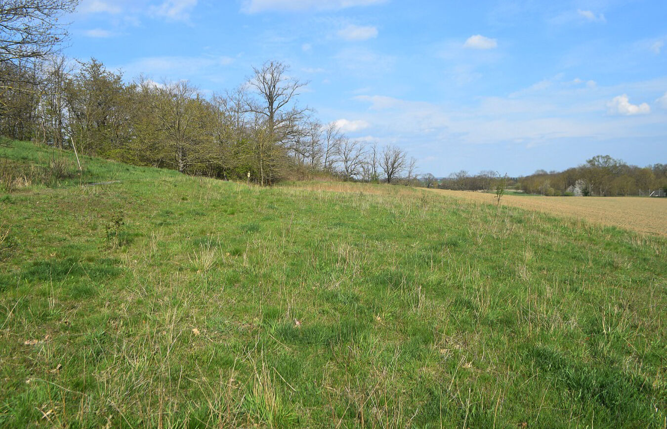 Blick in die Landschaft am Wachtelberg