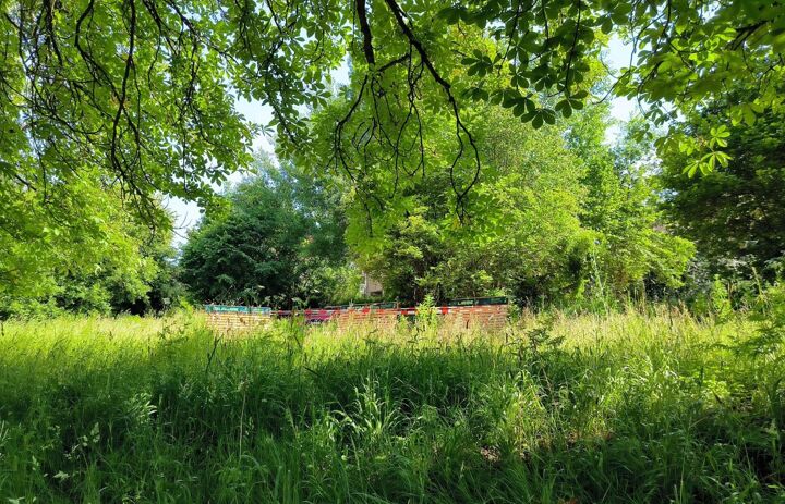 Link: 2. Bürgerdialog zum Schlosspark Wechselburg