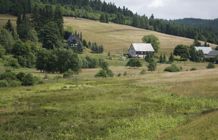 Blick auf die LaNU-eigenen Bergwiesen bei Rehefeld