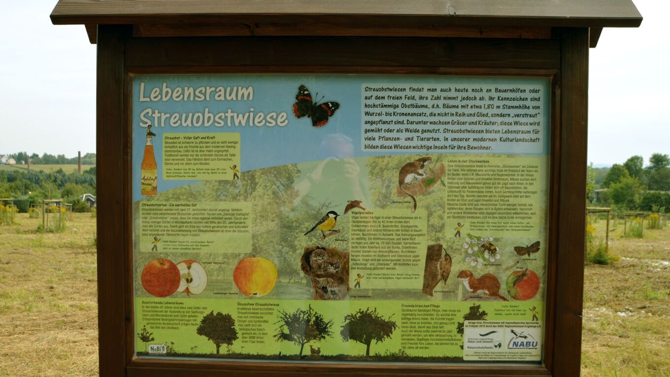 Eine Schautafel zeigt Informationen zum Lebensraum Streuobstwiese. Darauf abgebildet sind Falter, Kleinsäuger, Insekten und Logos der Projektpartner.