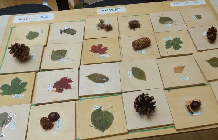 Holztafeln als Memory-Spiel mit Früchten und Blättern von Bäumen - Link: Mein Freund, der Baum