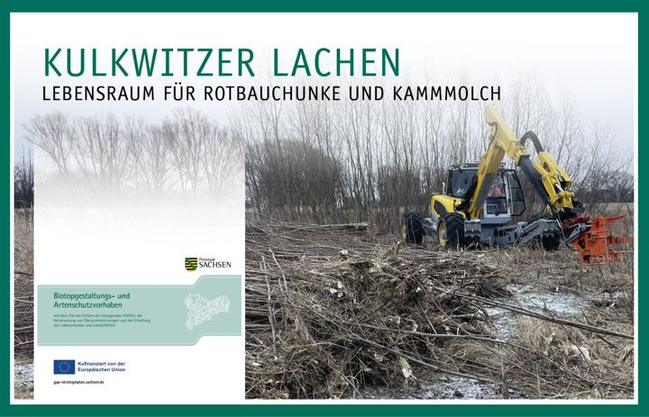 Ein Harvester bei der Rodung in den Kulkwitzer Lachen