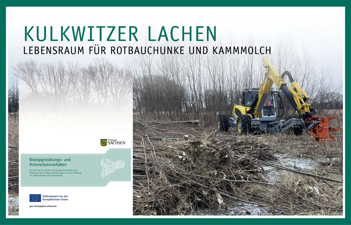Ein Harvester bei der Rodung