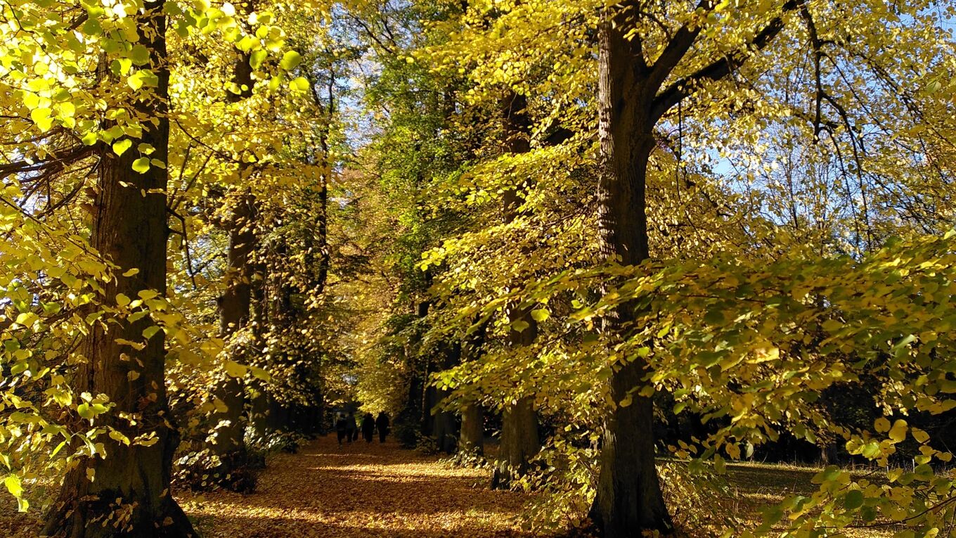 Herbst im Schlosspark Wechselburg