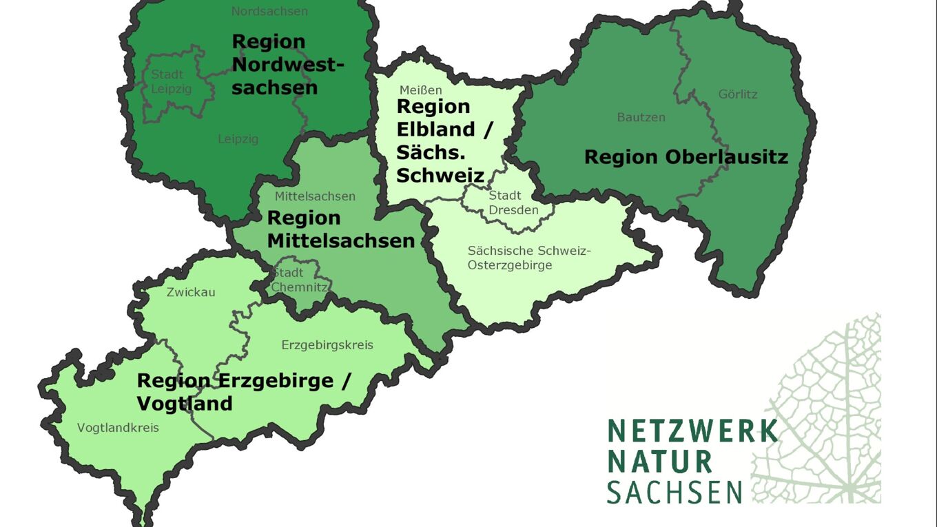 Geografische Übersicht der Regionen des Netzwerkes Natur Sachsen