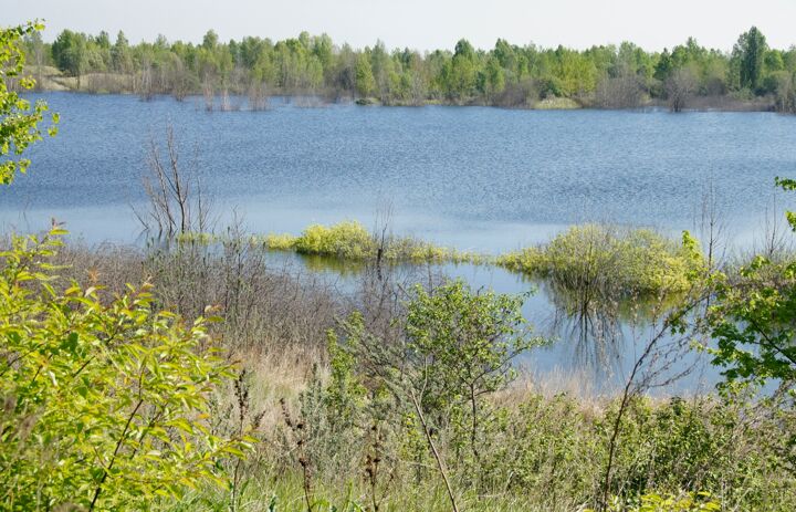 Bergbaufolgelandschaft Grabschützer See - Link: Wildes Sachsen – Naturparadies Grabschütz