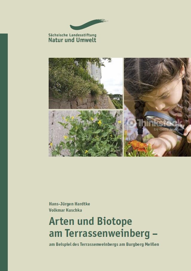 Arten und Biotope am Terrassenweinberg