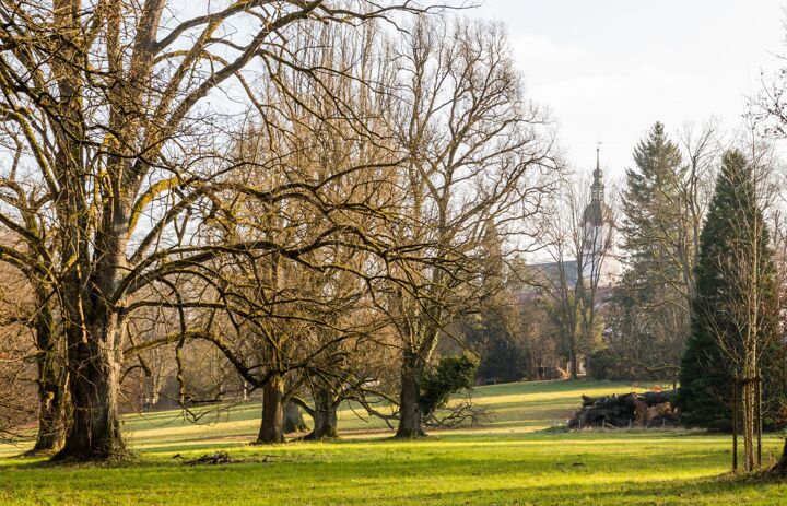 Link: 2. Parkgespräche