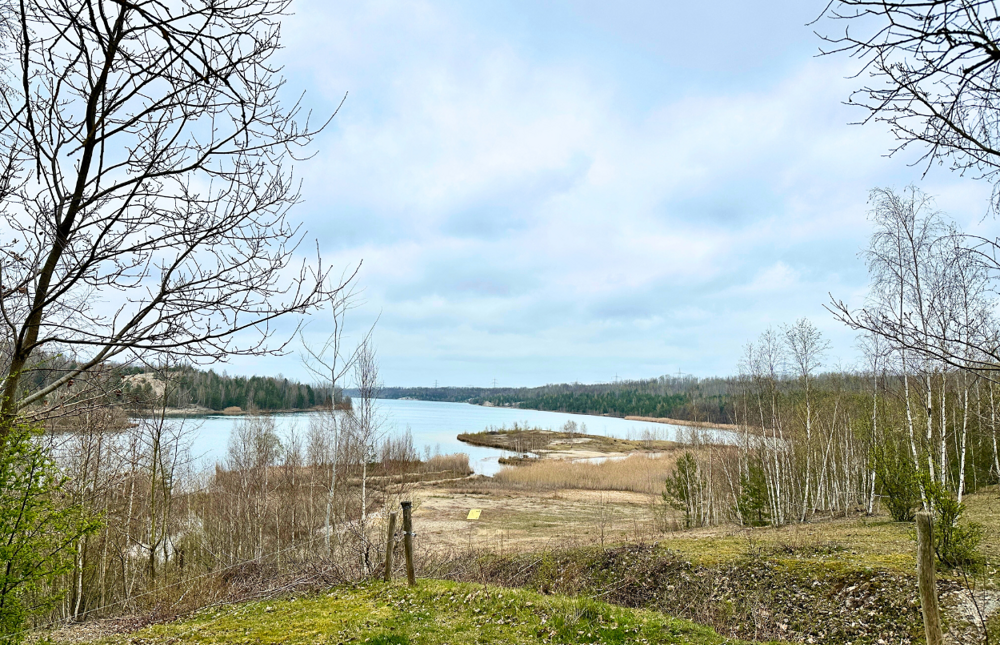 Blick über den Bockwitzer See