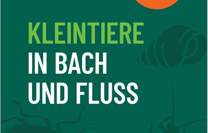 Link: Kleintiere in Bach und Fluss