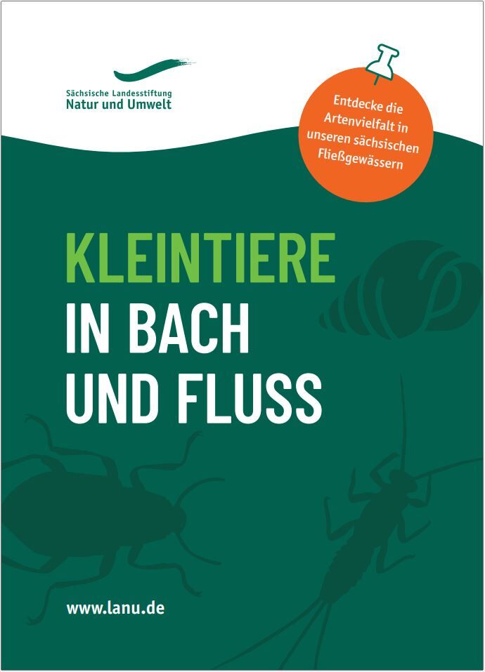 Kleintiere in Bach und Fluss