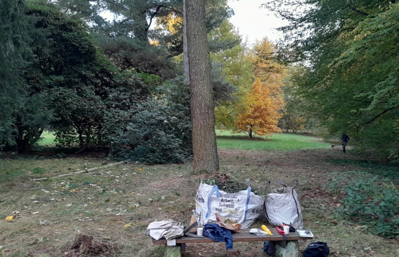 Wieder-da-Sichtachse an der Südwestseite der Schlosswiese