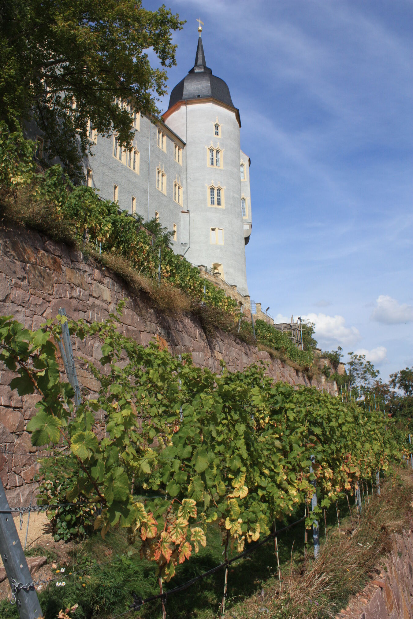Burgberg Meissen