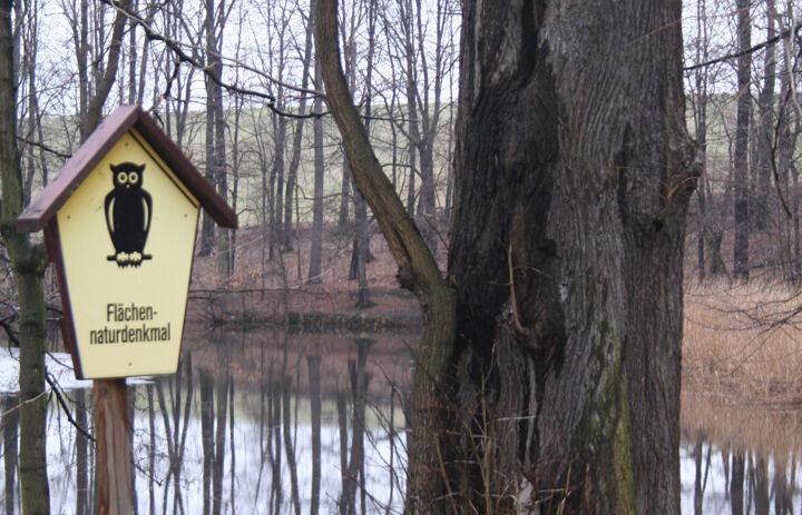 Schild Flächennaturdenkmal am Burgstädtelteich Graupzig